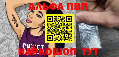стаф Камень-на-Оби