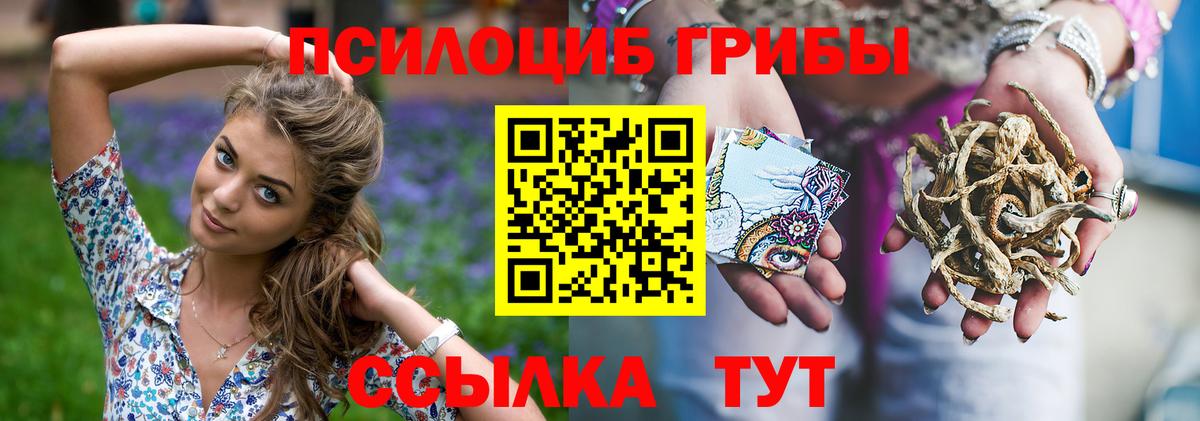 Ангарск  Галлюциногенные грибы ЛСД  Галлюциногенные грибы Cubensis  Вход с VPN 